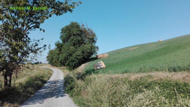 Foce_adige