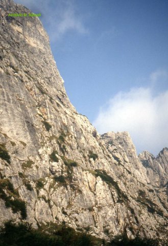 Arrampicata