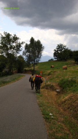 Appennino a Cavallo
