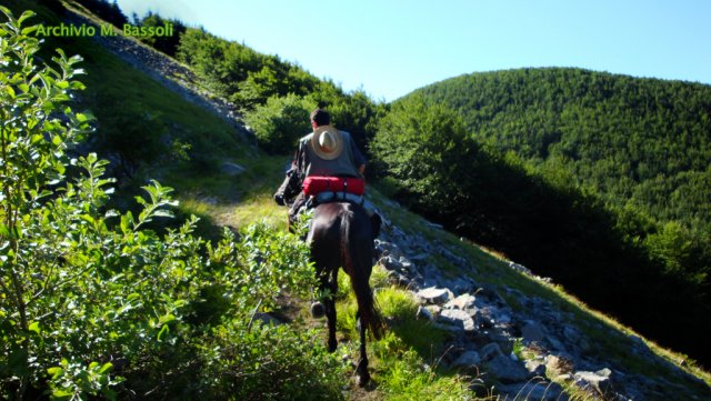 Appennino a Cavallo