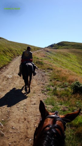 Appennino a Cavallo