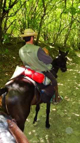 Appennino a Cavallo