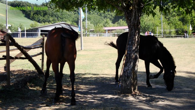 Appennino a Cavallo