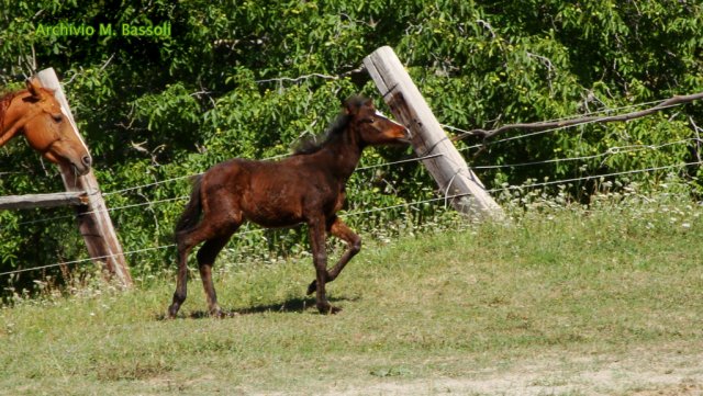 Appennino a Cavallo