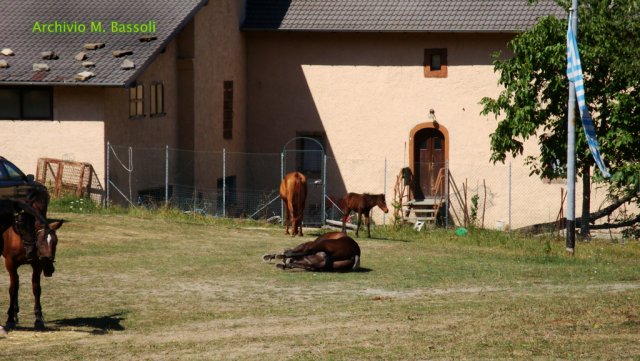 Foce_adige