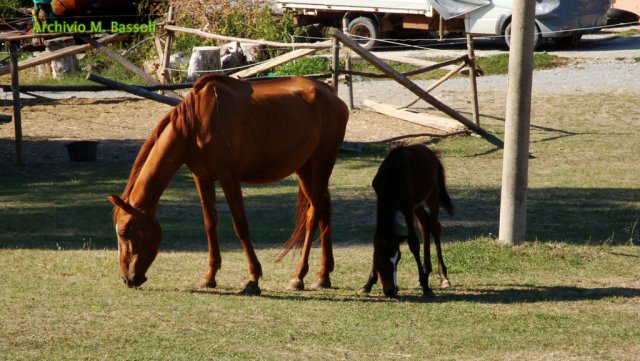 Appennino a Cavallo