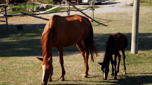 Appennino a Cavallo