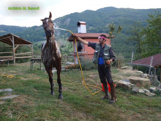 Foce_adige