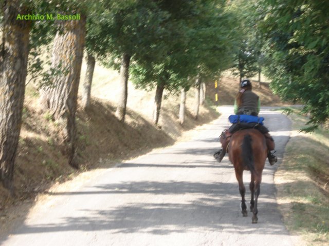 Foce_adige