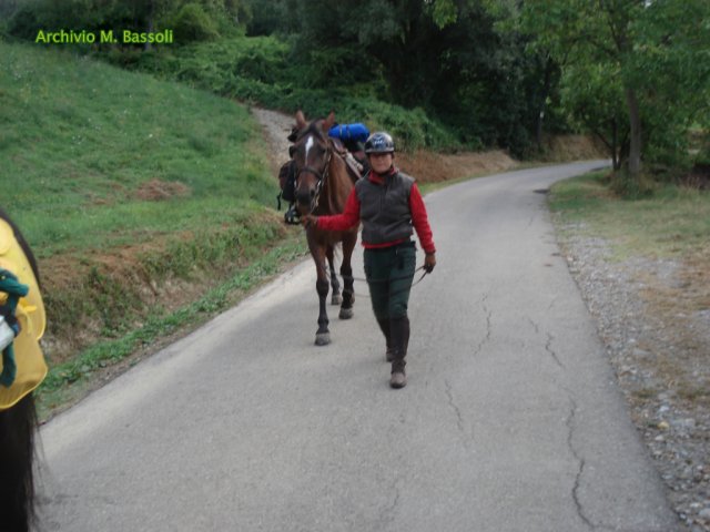 Foce_adige