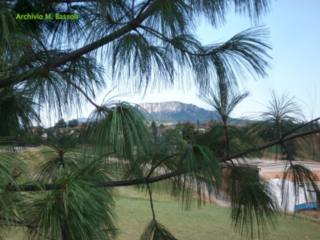 Foce_adige