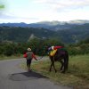 Appennino a Cavallo