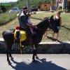 Appennino a Cavallo
