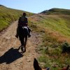 Appennino a Cavallo