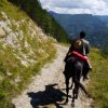 Appennino a Cavallo