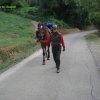 Foce_adige