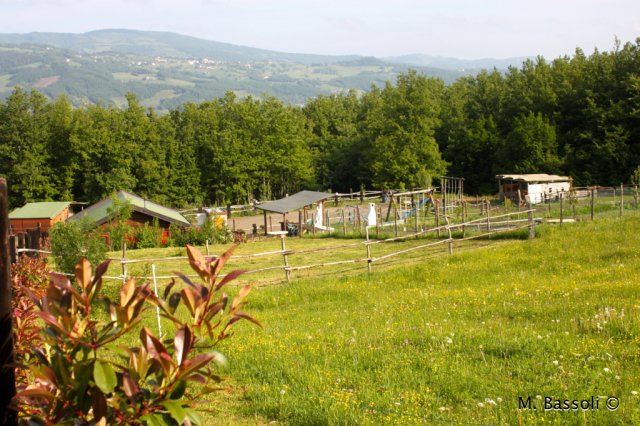 Foce_adige