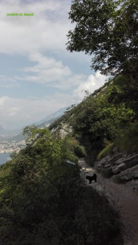 Foce_adige