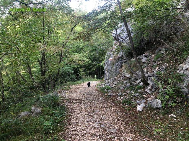 Foce_adige