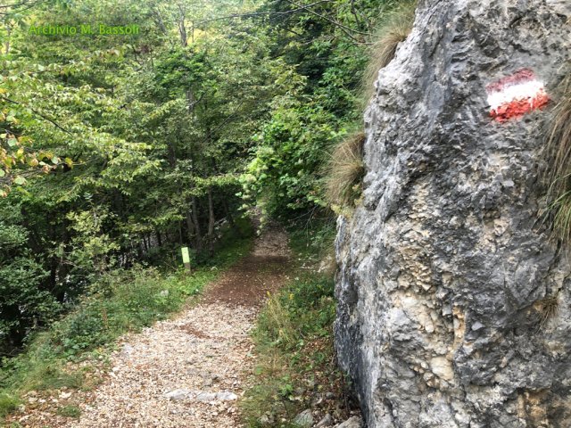 Foce_adige