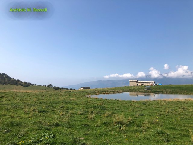 Corno-D-aquilio