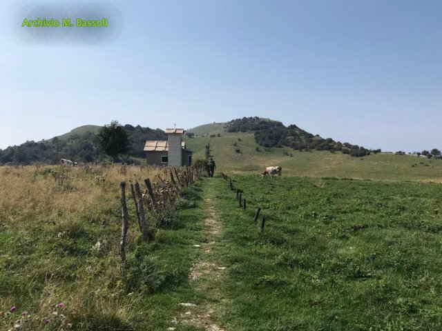 Corno-D-aquilio