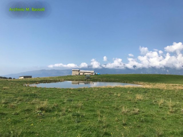 Corno-D-aquilio