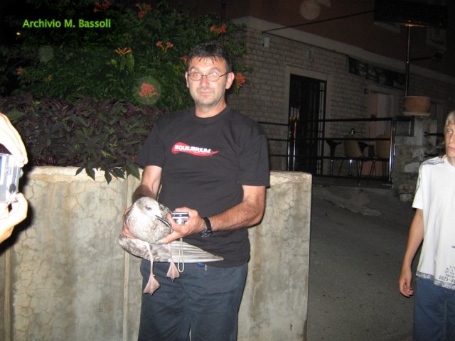 Croazia 2010