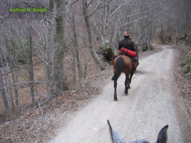 Cammino di San Francesco