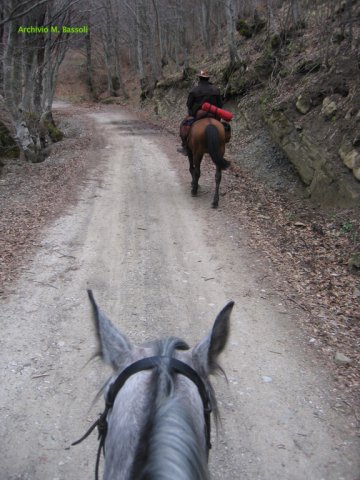 Cammino di San Francesco