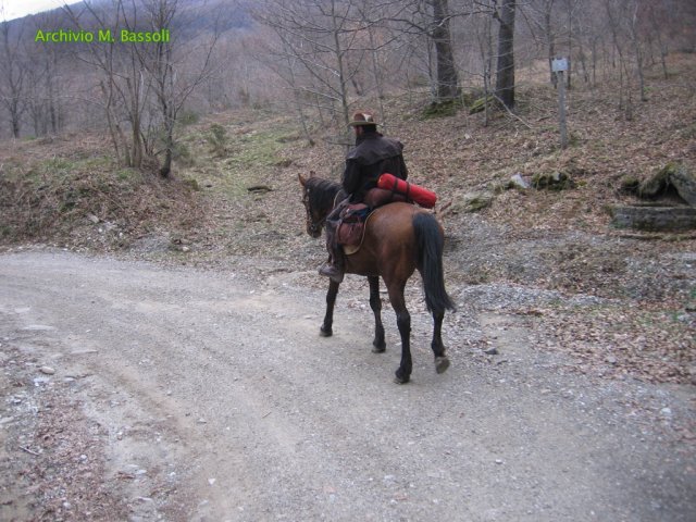 Cammino di San Francesco
