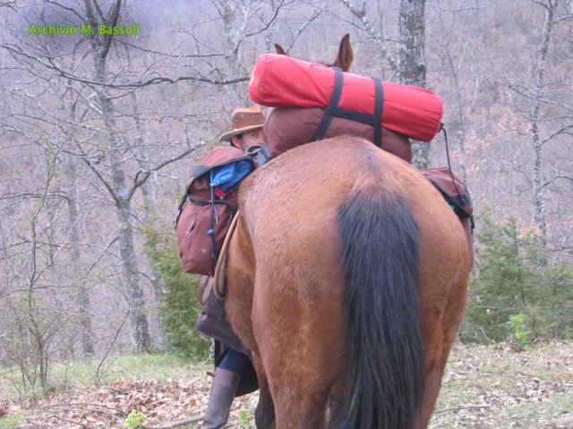 Cammino di San Francesco