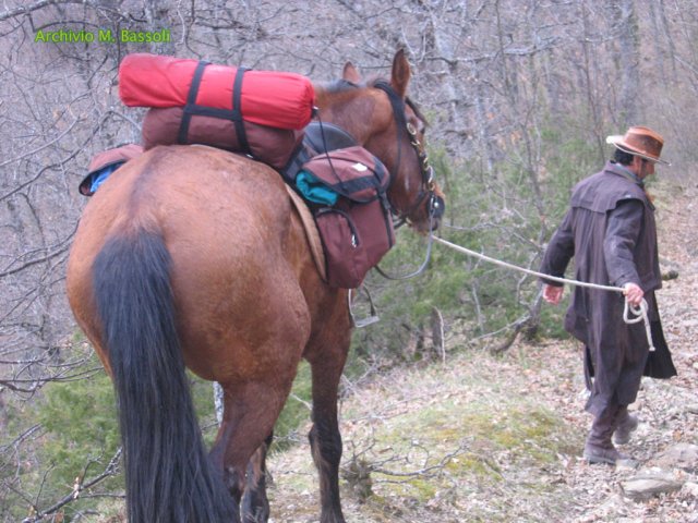 Cammino di San Francesco