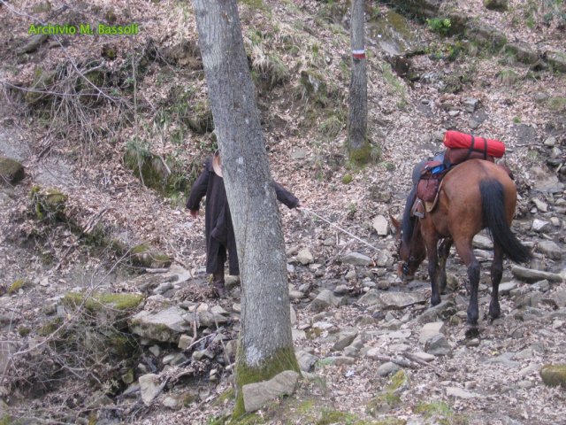 Cammino di San Francesco