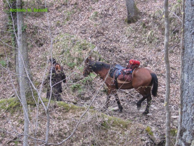 Cammino di San Francesco