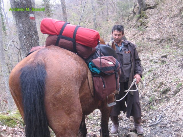 Cammino di San Francesco