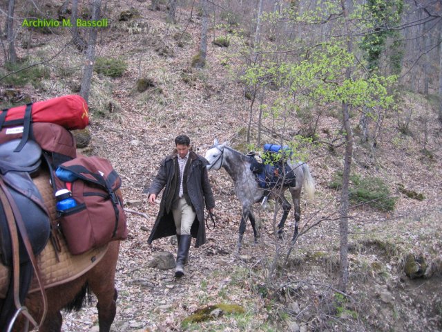 Cammino di San Francesco