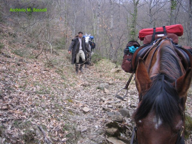 Cammino di San Francesco
