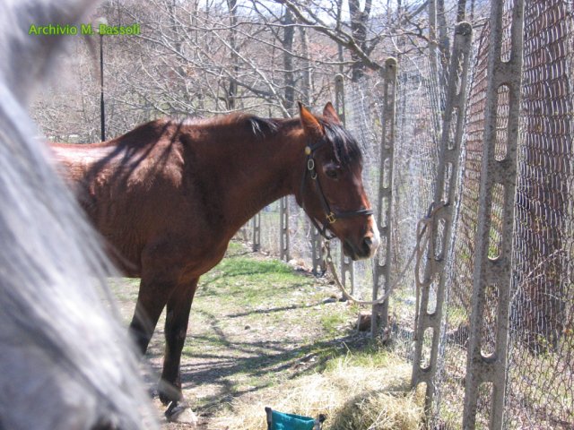 Cammino di San Francesco