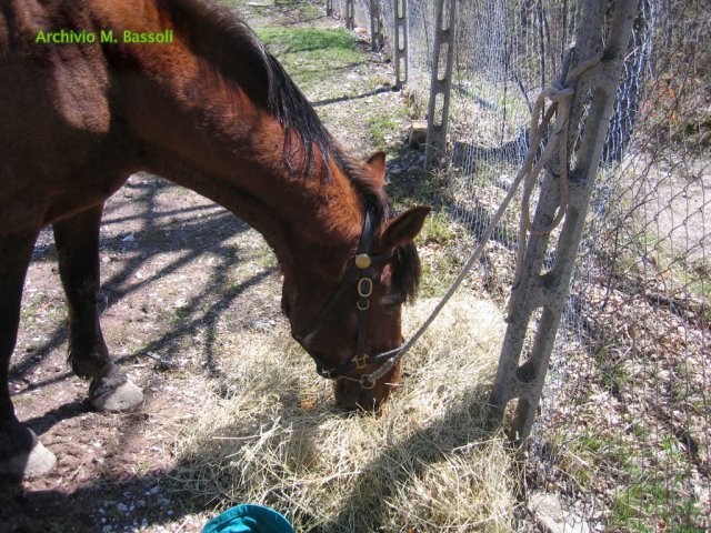 Cammino di San Francesco