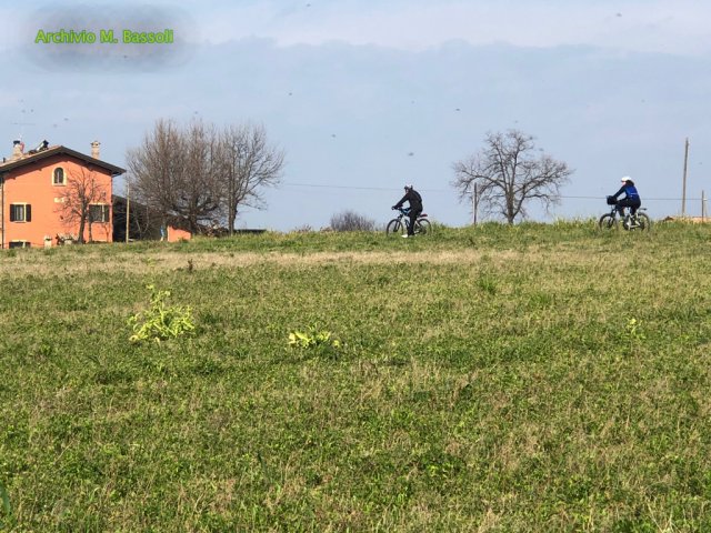 Castelvetro_Levizzano