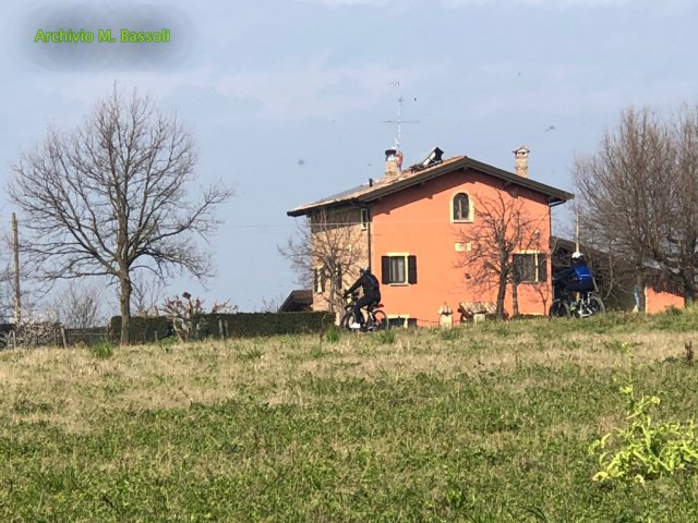 Castelvetro_Levizzano