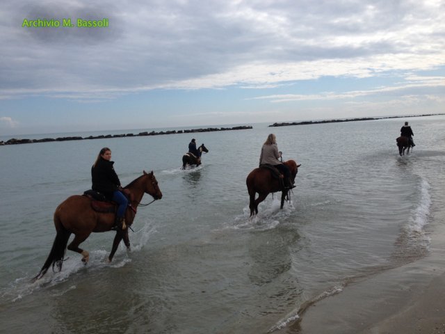 Cavalcata al mare