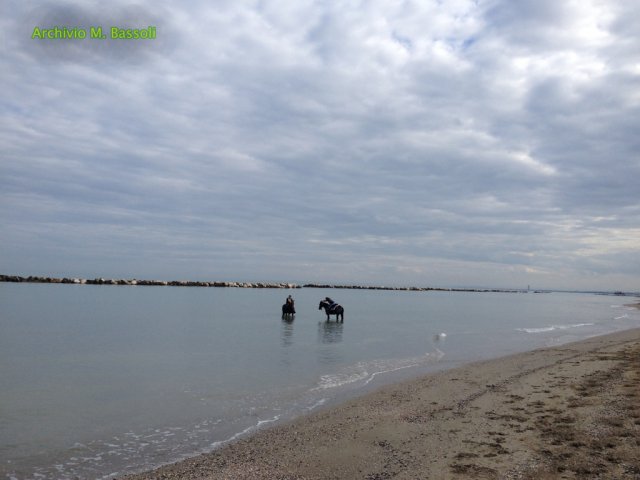 Cavalcata al mare
