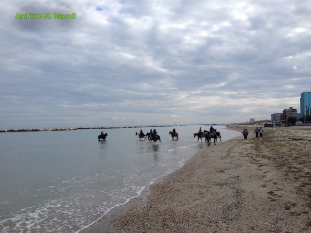 Cavalcata al mare