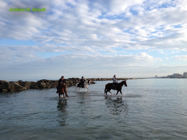 Cavalcata al mare