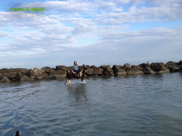 Cavalcata al mare