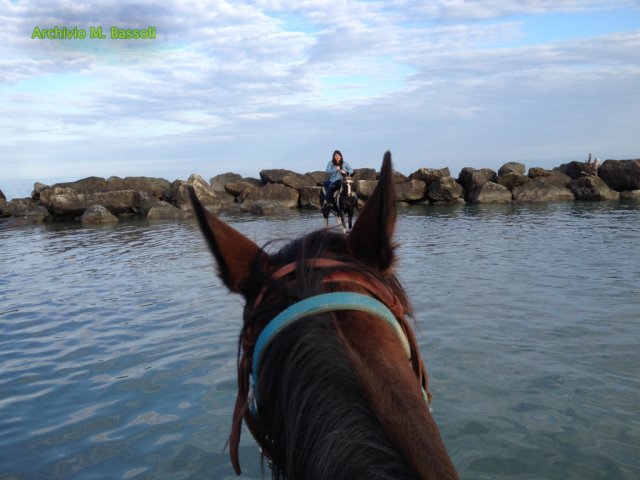 Cavalcata al mare