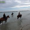 Cavalcata al mare
