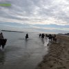 Cavalcata al mare